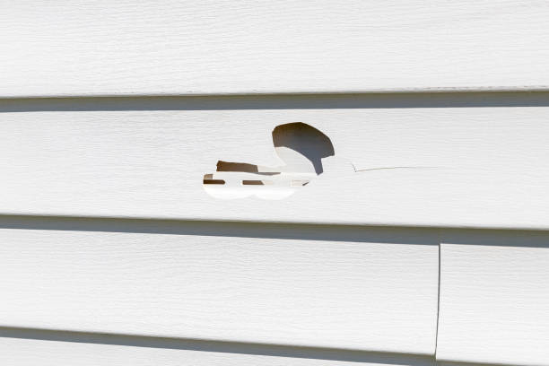 Braidwood, IL Siding Services Company